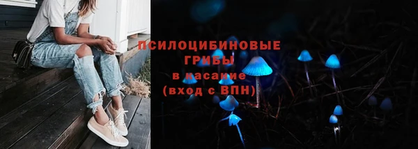 стафф Белокуриха