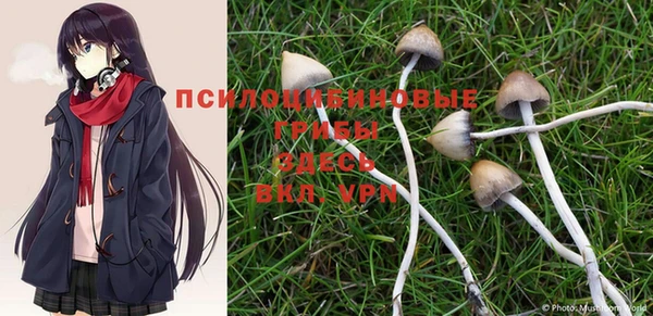 стафф Белокуриха